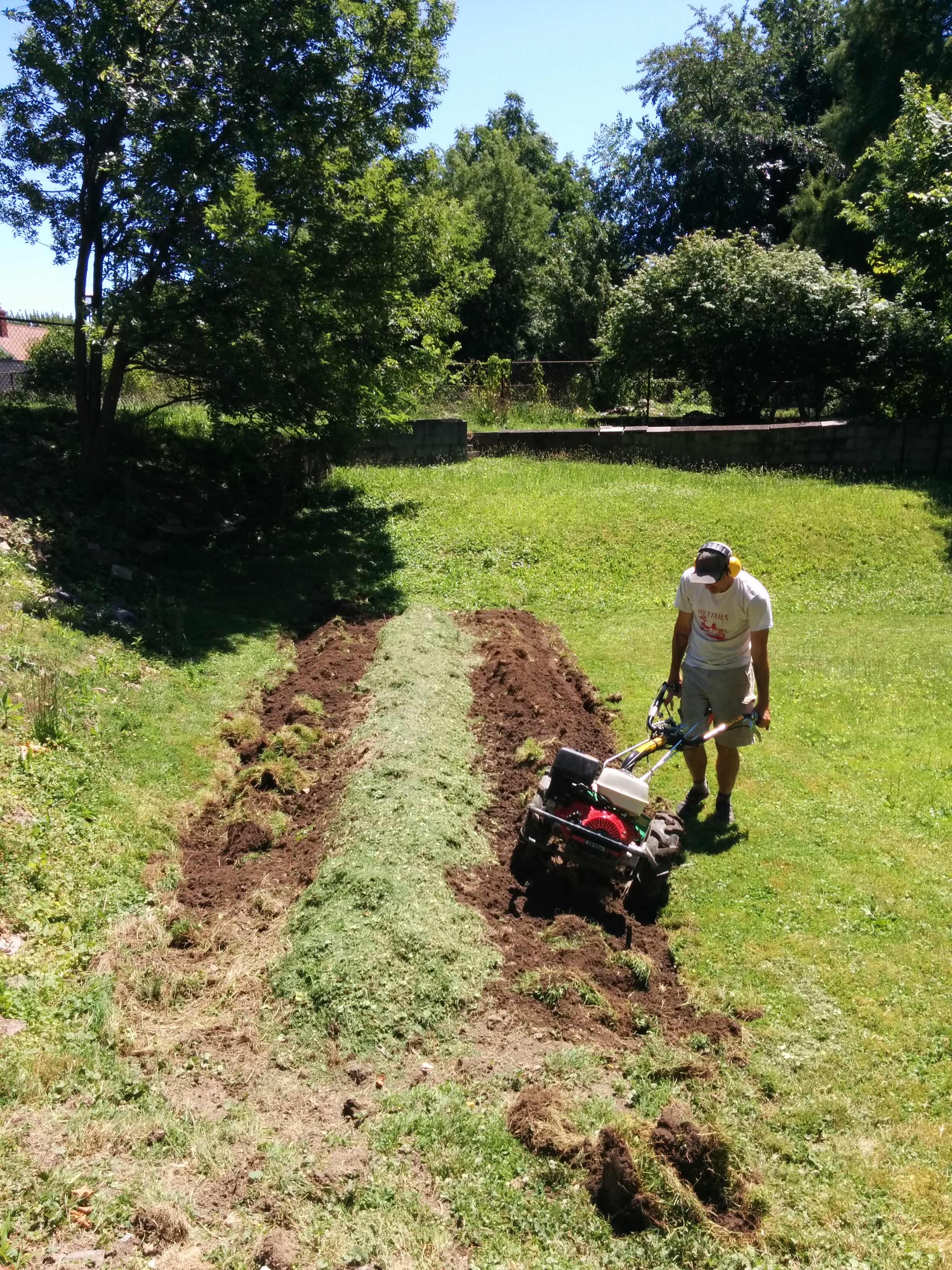 We used the rotary plow to throw the dirt on top.