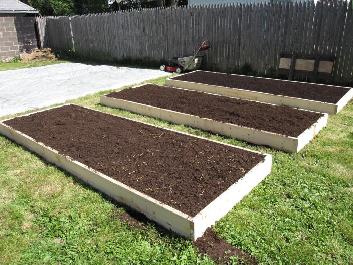 raised beds at the plot