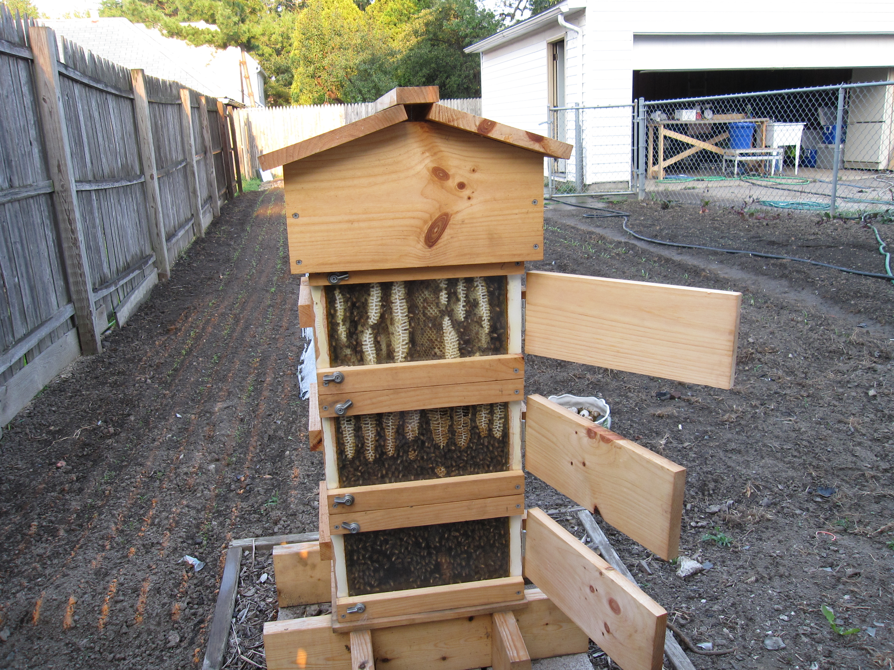 beekeeping Bay Branch Farm